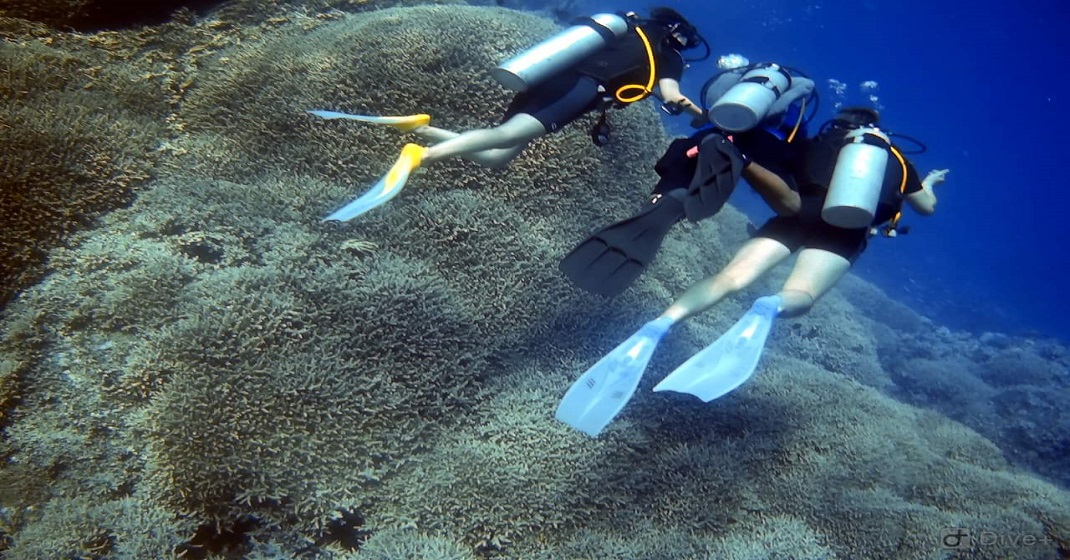 Deep Sea diving Intro for beginnersin Marsa Alam  